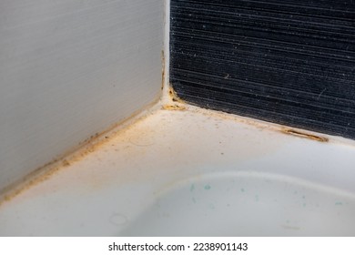 Esquina sucia de una cabina de ducha y una bandeja de ducha con una escoria de jabón, moho negro y sellante de silicio deteriorado