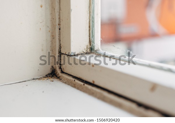 Dirty Corner Window Sill Detail Indoor Stock Photo Edit Now