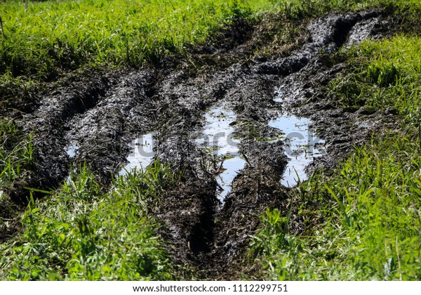 Dirty country road\
wet dirt, impassability. Mud and puddles on the dirt road. Traces\
from tractors and cars.\
