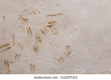 Dirty Dog Paw Marks On A Wall
