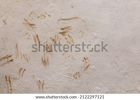 dirty dog paw marks on a wall