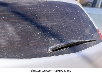 Dirty Dusty Rear Window Of The Car. The Auto Requires Cleaning And Washing