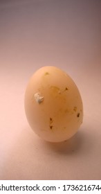 Dirty Egg.
Budgie Parrot Egg On A White Background.
Close Up Of An Egg Isolated, Australian Animal.
Bird Eggs. Poultry, Exotic Animals.
Lovebird, Birds, Wildlife, Wild Nature, Forest, Pets, Pet