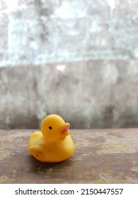 Dirty And Faded Yellow Little Rubber Duck Toy On A White And Gray Background