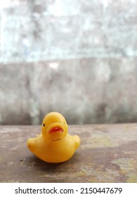 Dirty And Faded Yellow Little Rubber Duck Toy On A White And Gray Background