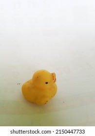 Dirty And Faded Yellow Little Rubber Duck Toy On A White And Gray Background