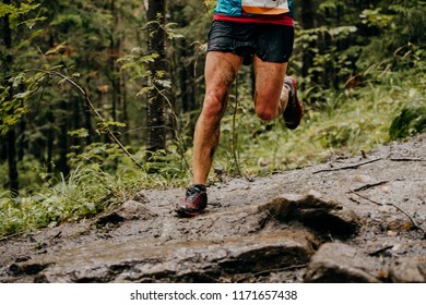 Dirty Feet Woman Runner Running Autumn Trail In Woods