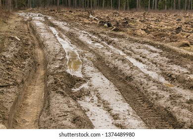 dirty-forest-impassable-road-spring-260nw-1374489980.jpg