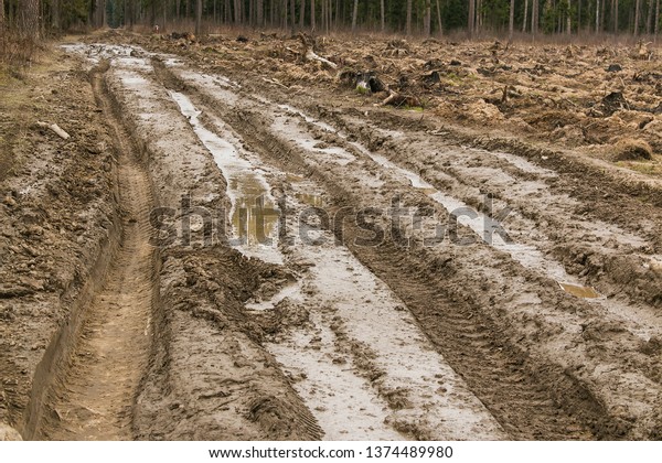Dirty forest, impassable road\
in the spring thaw broken by melting snow and broken by heavy\
vehicles. Passing in the forest of the Moscow region. Russian\
Federation.