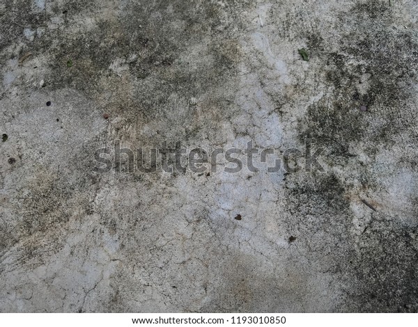 Dirty Fungus Mold On Concrete Floor Stock Photo Edit Now 1193010850