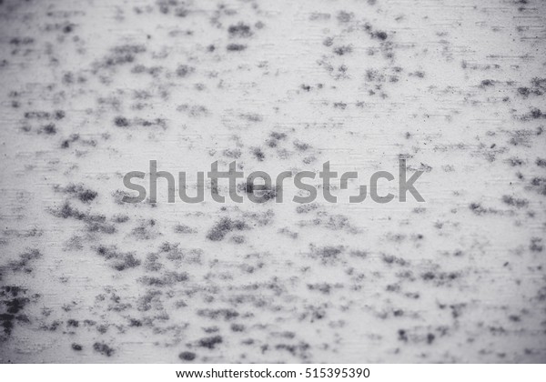 Dirty Fungus Mold On Wardrobe Texture Stock Photo Edit Now 515395390