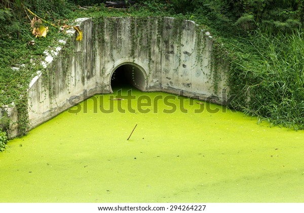 Dirty green\
toxic water contaminated with\
algae