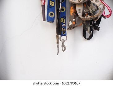 Dirty Grunge Rustic Dog Collars Leash And Ropes Hanging On White Wall Dried Under Summer Sunlight 