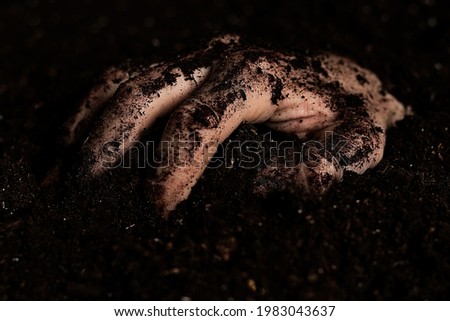 A dirty hand crawling out of the ground after being buried in a grave. 