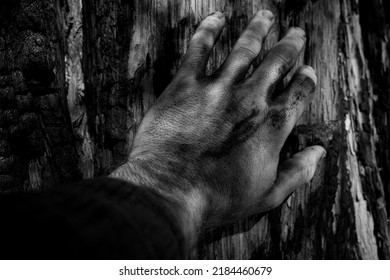 Dirty Hand On Charred Tree Trunk