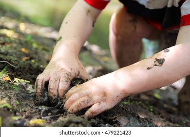 The Dirty Hands Of A Little Boy Child Are Digging In The Wet Mud Outside By The River.