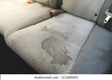 Car Inside Dirty Gorseller Stok Fotograflar Ve Vektorler