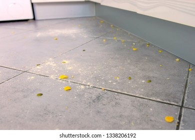 Dirty Kitchen Floor With Food Leftovers, Flour, Corn Flakes After Cooking. Close-up View