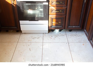 Dirty Kitchen Floor. Very Dirty Light Tile Floor In The Kitchen. Unwashed Gas Stove And Dirty Kitchen Furniture Under The Rays Of The Sun From The Window. Frying Pan, A Baking Dish In An Electric Oven