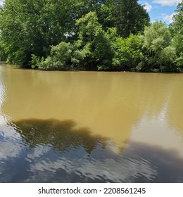 Dirty Lake And Tree Line