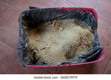 Dirty Litter In The Cat Litter Box