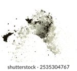 Dirty Melting snow mix with soil dust mud and splash fly in mid air. Dirty snow dust mud explode splash in winter, melt and thawing in spring. White background isolated element