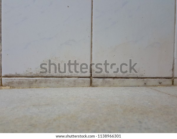 Dirty Mold Bathroom Floor Stock Photo Edit Now 1138966301