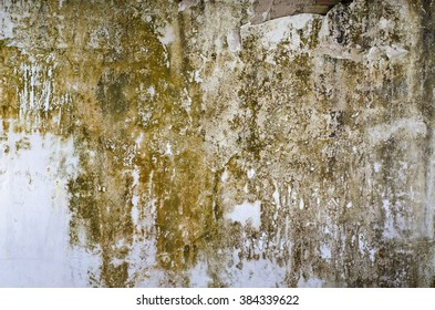 5,115 Cracked Basement Wall Images, Stock Photos & Vectors | Shutterstock