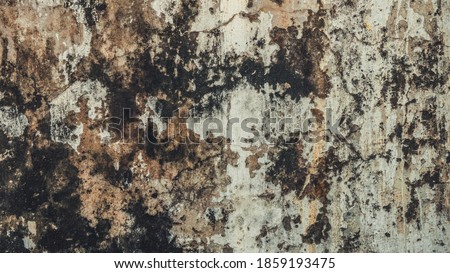 Dirty moldy grungey wall textured background