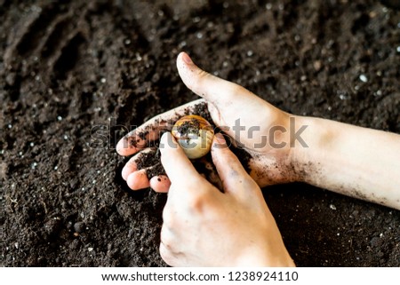 dirty muddy hands find a gem in the soil ground 