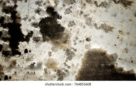 Dirty oil stain Cement floor texture - Shutterstock ID 764855608