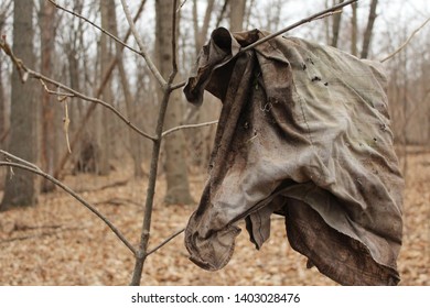 A Dirty Old Tattered Shirt Hangs On A Branch In The Forest.