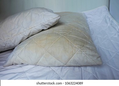 Dirty pillows white beds are source germs   dust mites   mattresses 