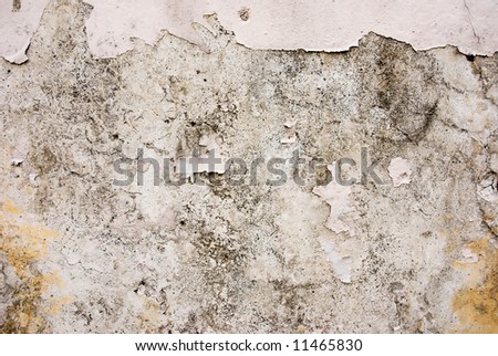 dirty plastered wall
