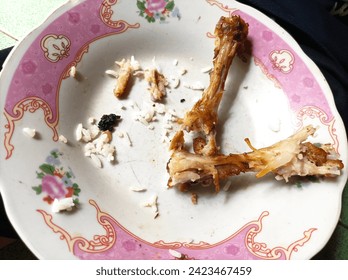 A dirty plate, remnants of a meal, bears evidence of a chicken dinner with leftover bones. Stains and traces of food adorn the surface, telling the tale of a satisfying repast now concluded.