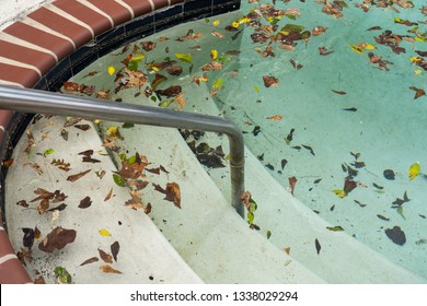 Dirty Pool Covered In Leaves