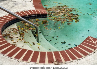 Dirty Pool Covered In Leaves