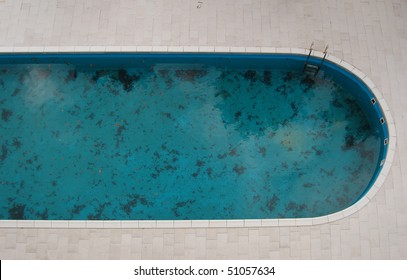 The Dirty Pool In The Hotel