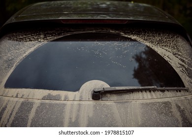 Dirty Rear Window Of The Car