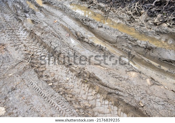 Dirty road in the\
forest background close\
up.