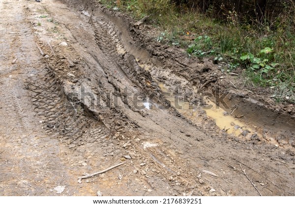 Dirty road in the\
forest background close\
up.
