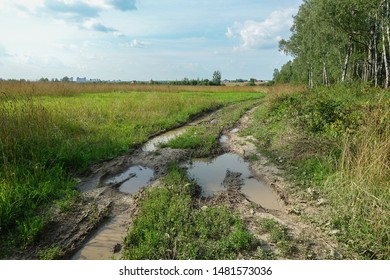Dirty road with puddles in the forest. Impassable road in Russia