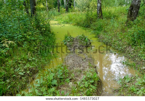 Dirty road with puddles in the forest. Impassable\
road in Russia