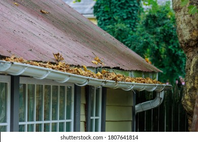 Dirty roof with iron gutter with autumn leaves requiring cleaning