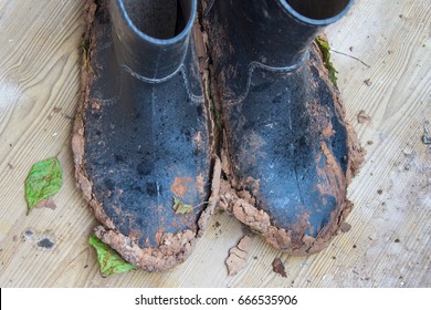 Dirty Rubber Boots After Work In The Garden In Rainy Weather. Top View.