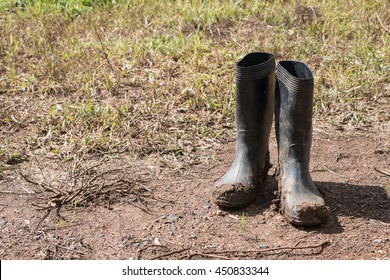 Dirty Rubber Boots In Farm.