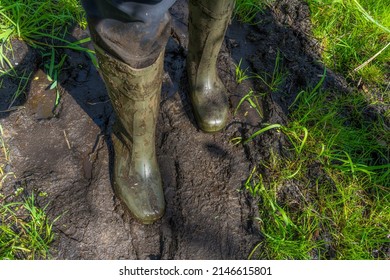 Dirty Rubber Work  Boots In The Mud Doing The Dirty Work