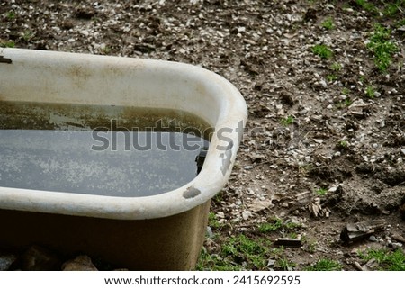 Dirty rustic antique bathtub for cleansing on lawn for livestock to drink. Aged used retro zinc filthy tub outside. Bucket of water to wash mud. Rusty old container. Rust in washtub on grass outdoor.