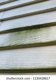 The Dirty Side Of A House With Mold And Mildew