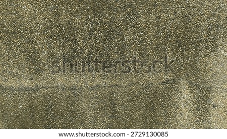 Dirty small stone wall rough wall seasoned